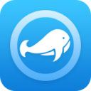 鲸鱼加速器app