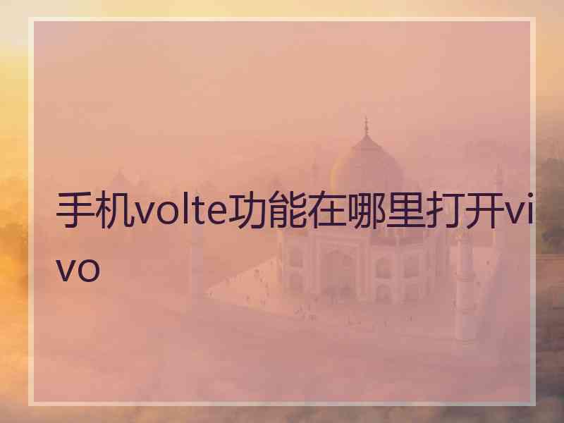 手机volte功能在哪里打开vivo