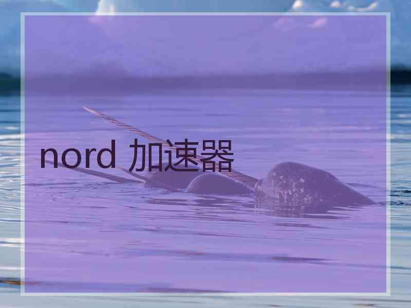 nord 加速器