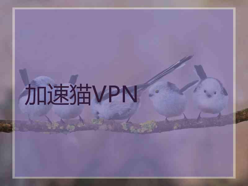 加速猫VPN