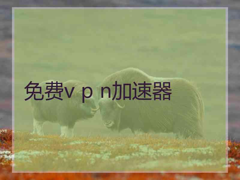 免费v p n加速器