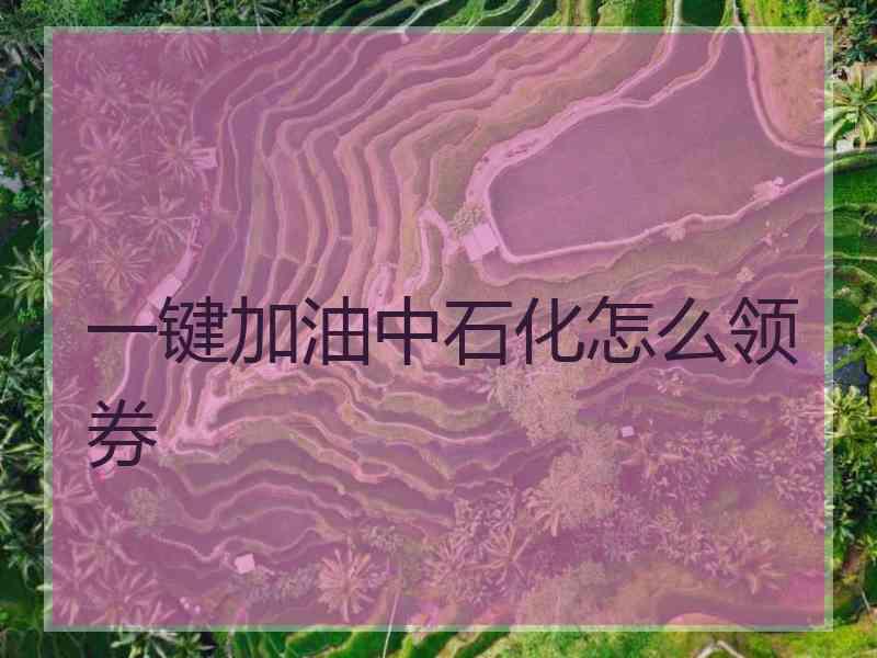 一键加油中石化怎么领券