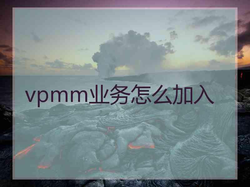 vpmm业务怎么加入