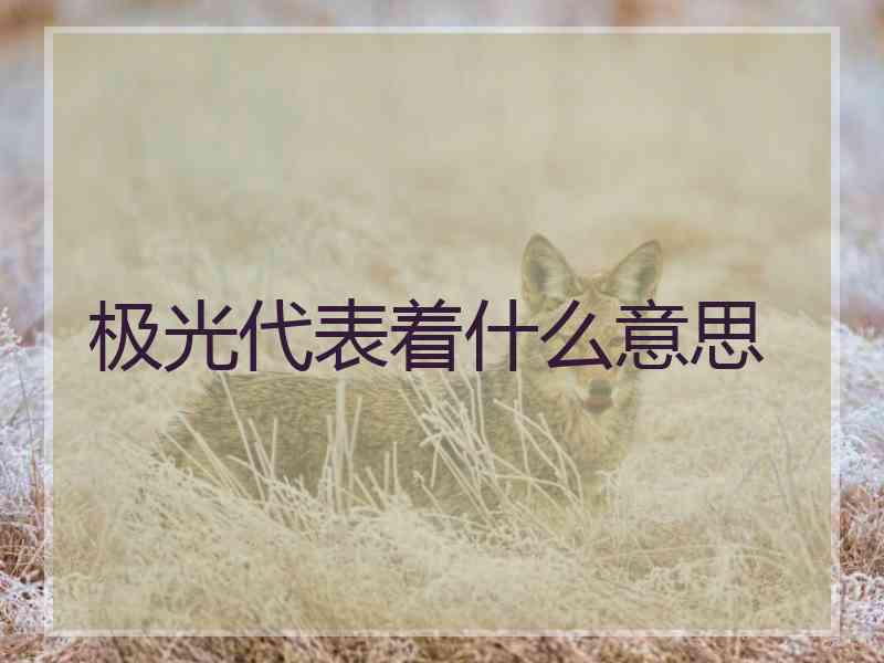 极光代表着什么意思