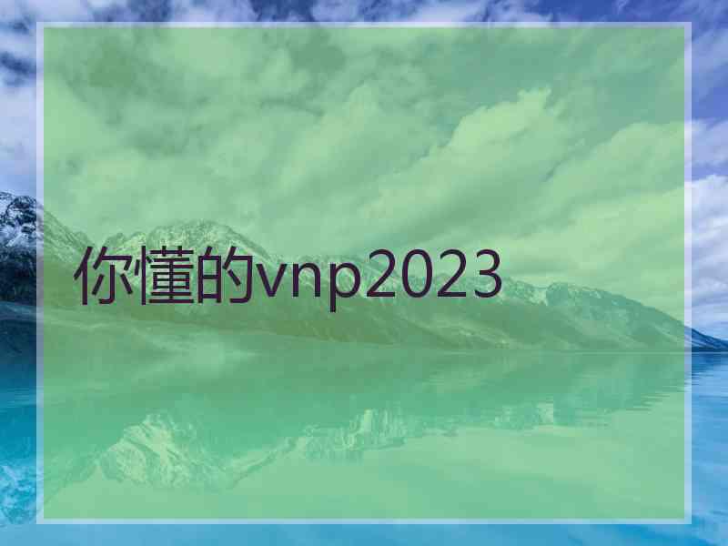 你懂的vnp2023