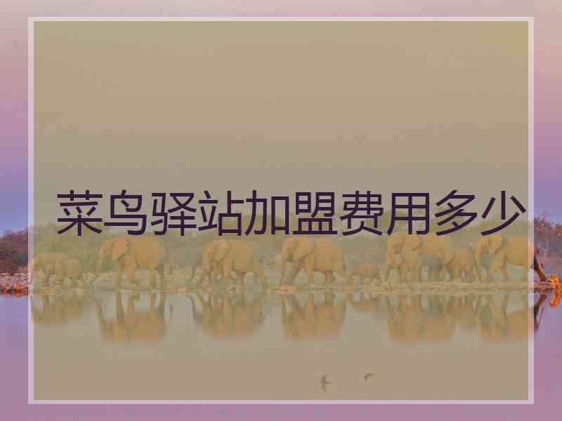 菜鸟驿站加盟费用多少