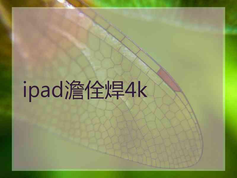 ipad澹佺焊4k