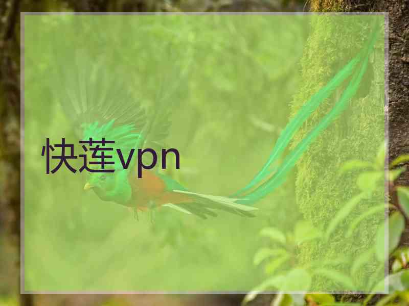 快莲vpn