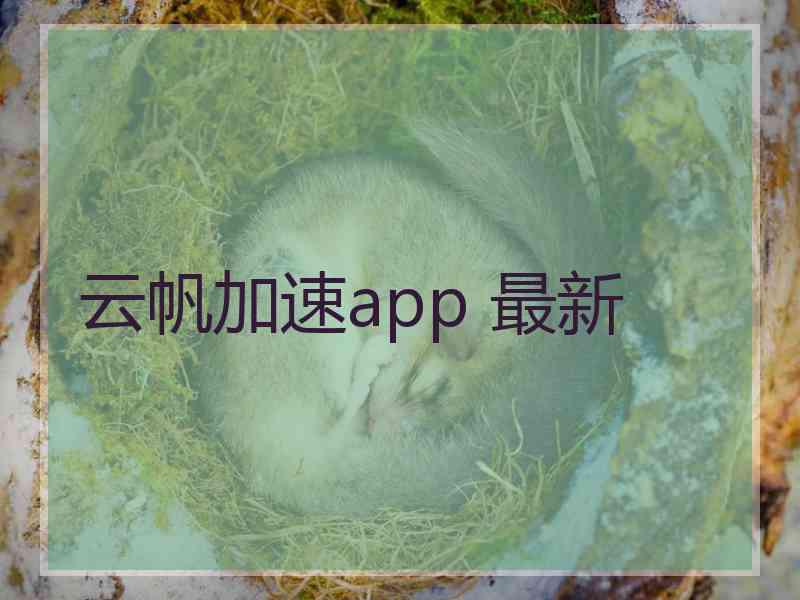 云帆加速app 最新