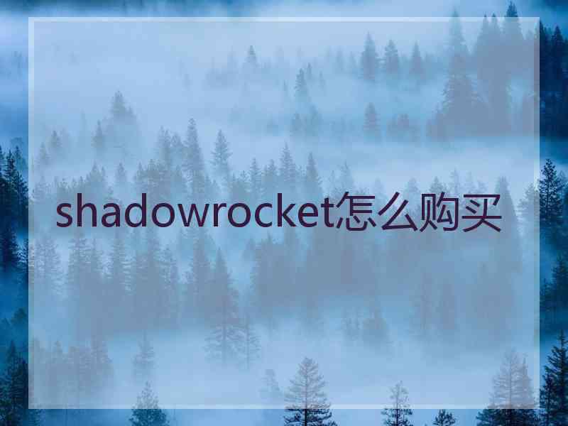 shadowrocket怎么购买