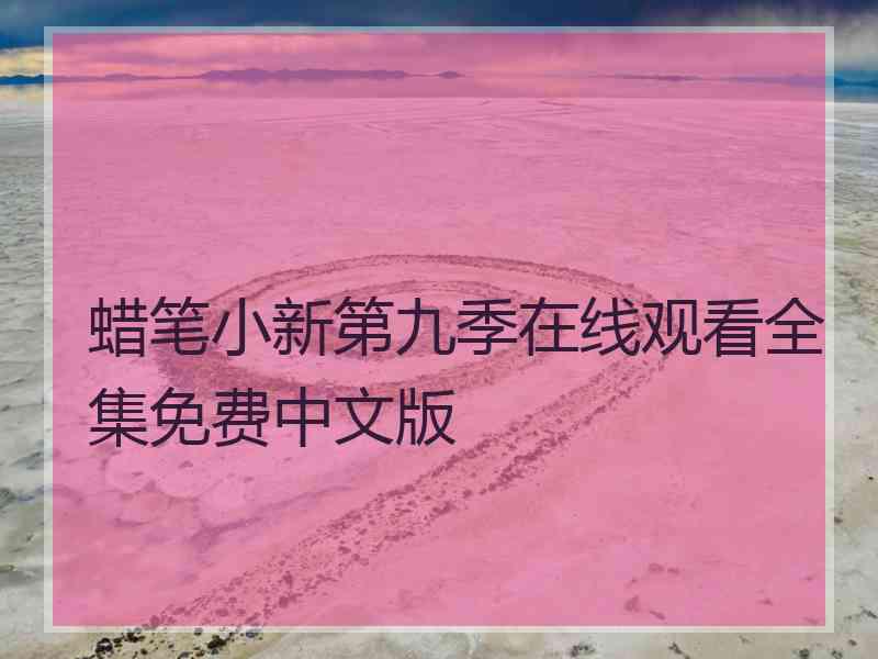 蜡笔小新第九季在线观看全集免费中文版