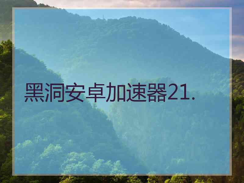 黑洞安卓加速器21.