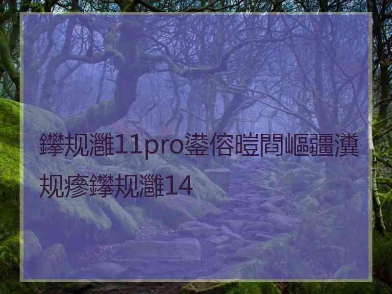 鑻规灉11pro鍙傛暟閰嶇疆瀵规瘮鑻规灉14