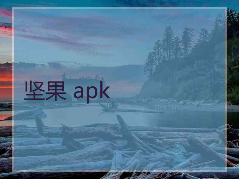 坚果 apk