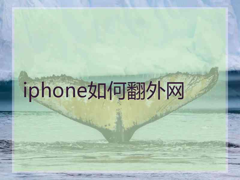 iphone如何翻外网