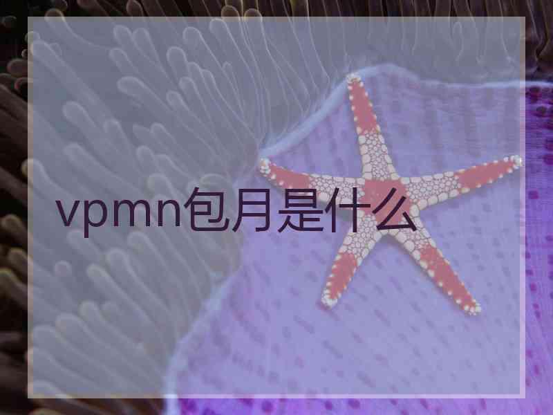 vpmn包月是什么