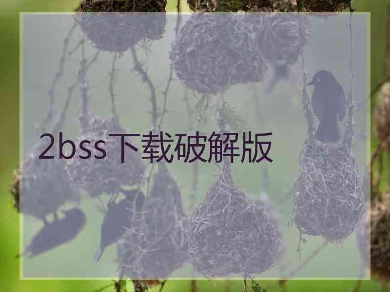 2bss下载破解版