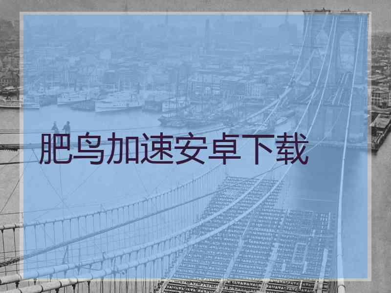 肥鸟加速安卓下载