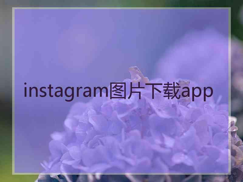 instagram图片下载app