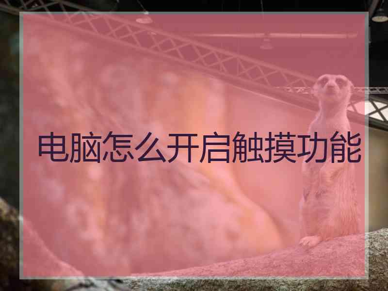 电脑怎么开启触摸功能