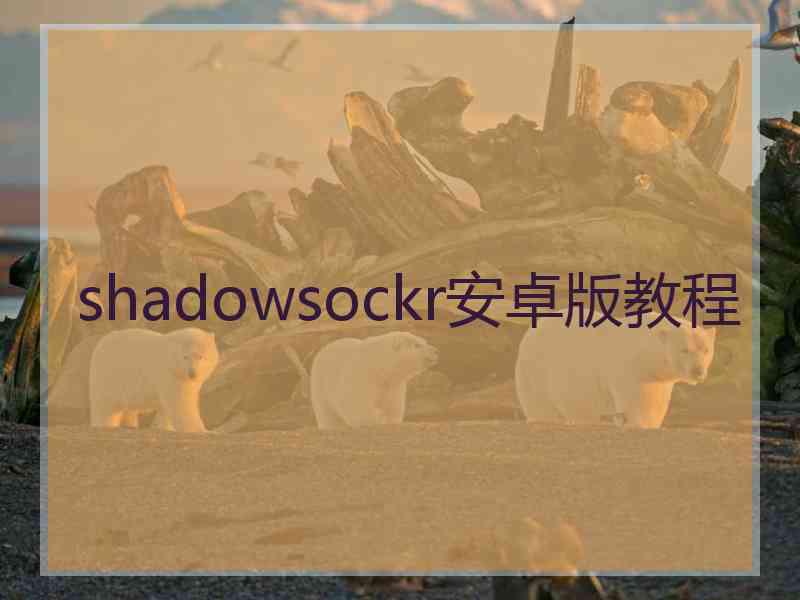 shadowsockr安卓版教程