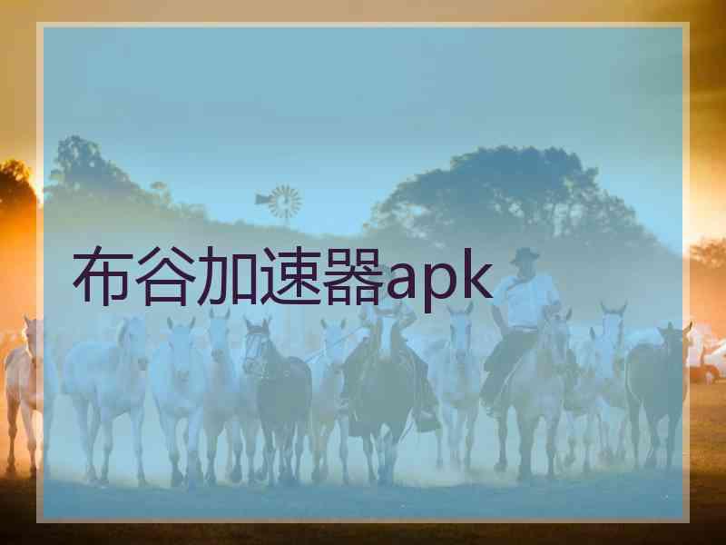 布谷加速器apk