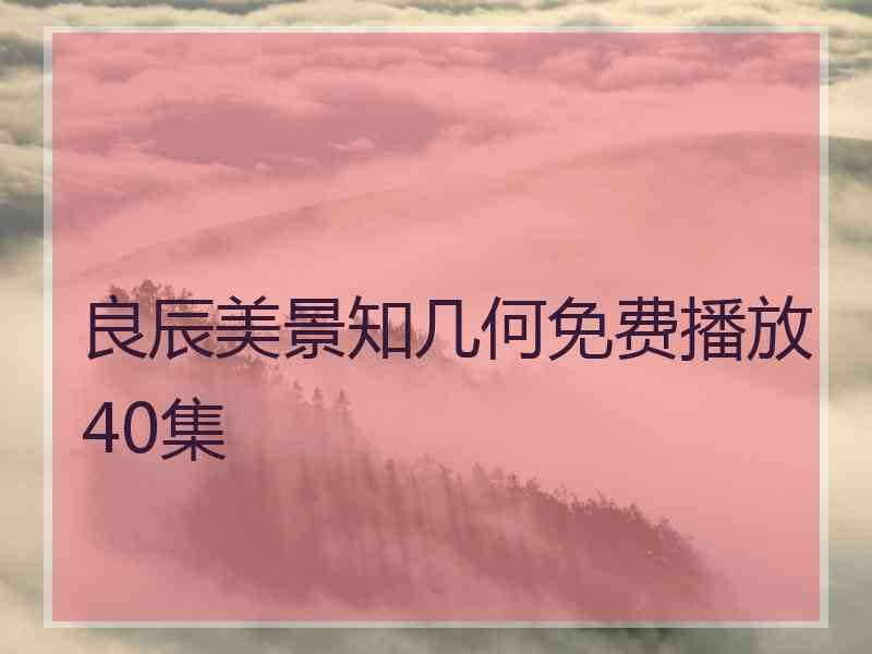 良辰美景知几何免费播放40集
