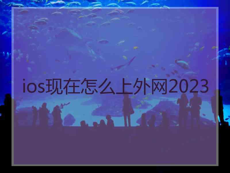 ios现在怎么上外网2023