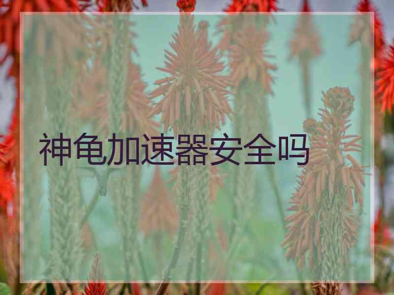 神龟加速器安全吗