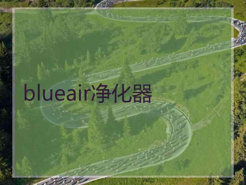 blueair净化器