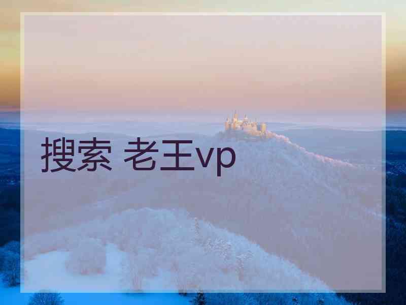 搜索 老王vp