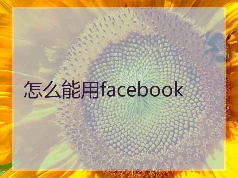 怎么能用facebook