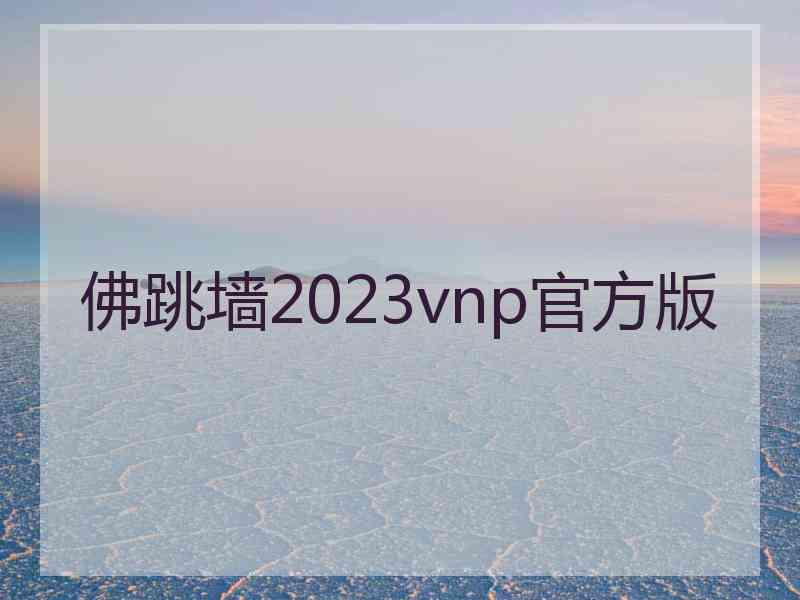 佛跳墙2023vnp官方版