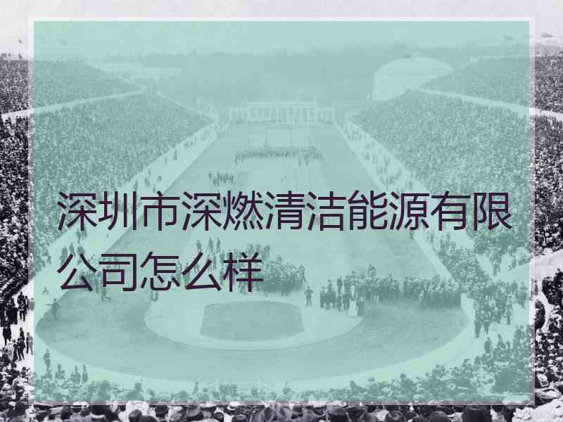 深圳市深燃清洁能源有限公司怎么样