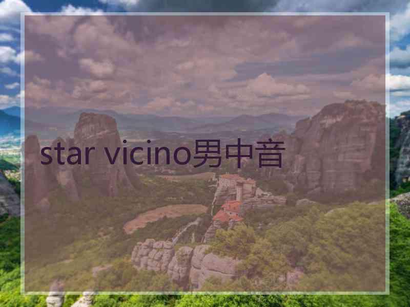 star vicino男中音