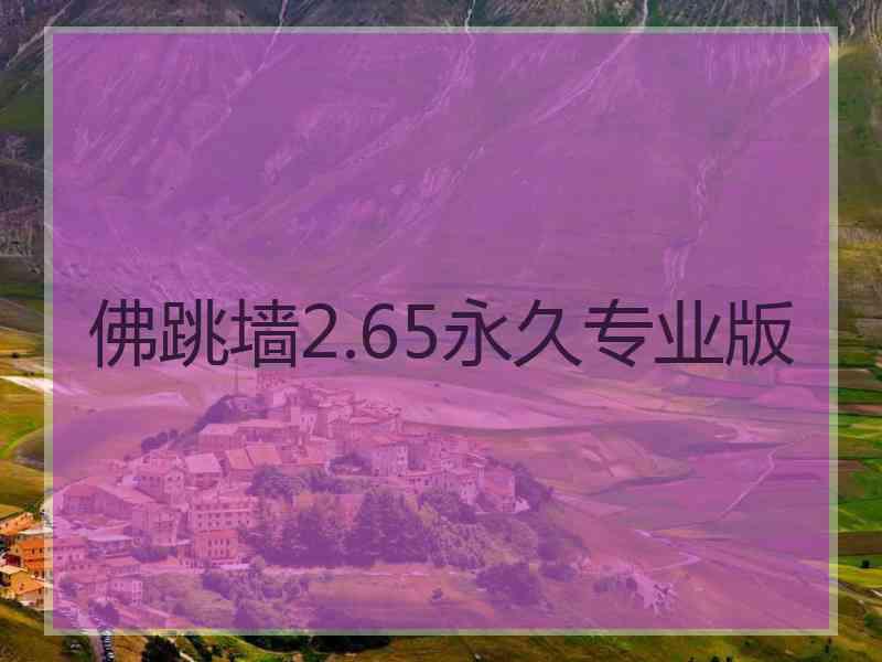 佛跳墙2.65永久专业版