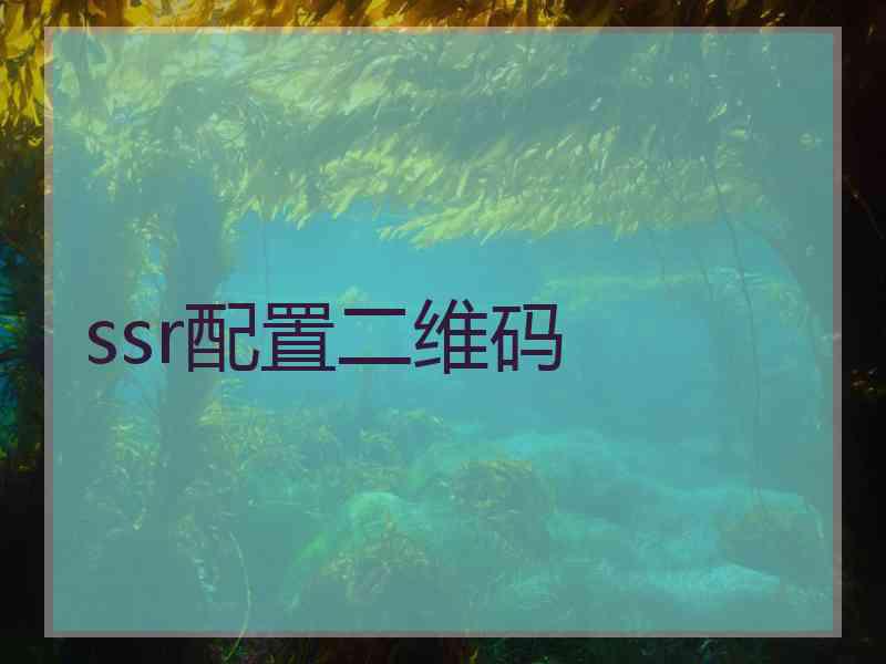 ssr配置二维码