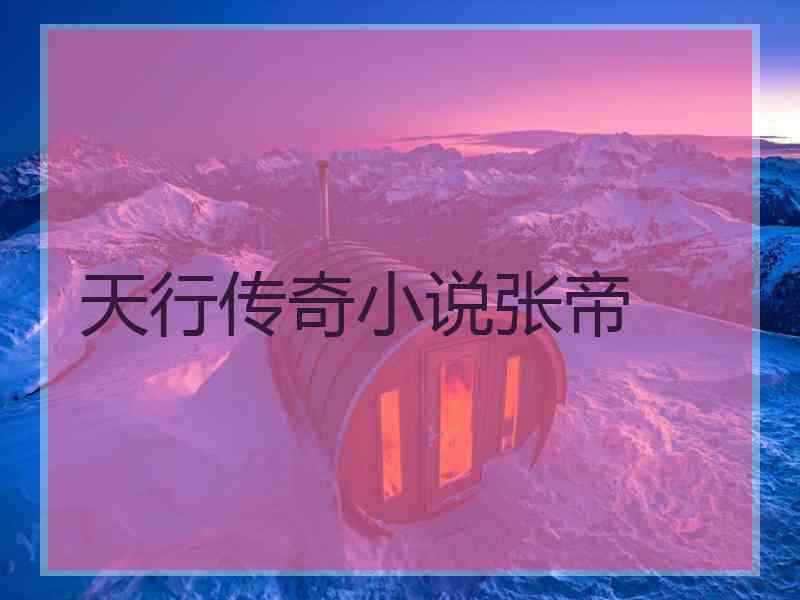 天行传奇小说张帝