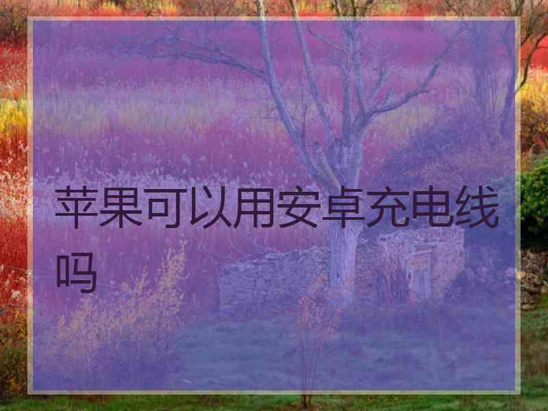 苹果可以用安卓充电线吗