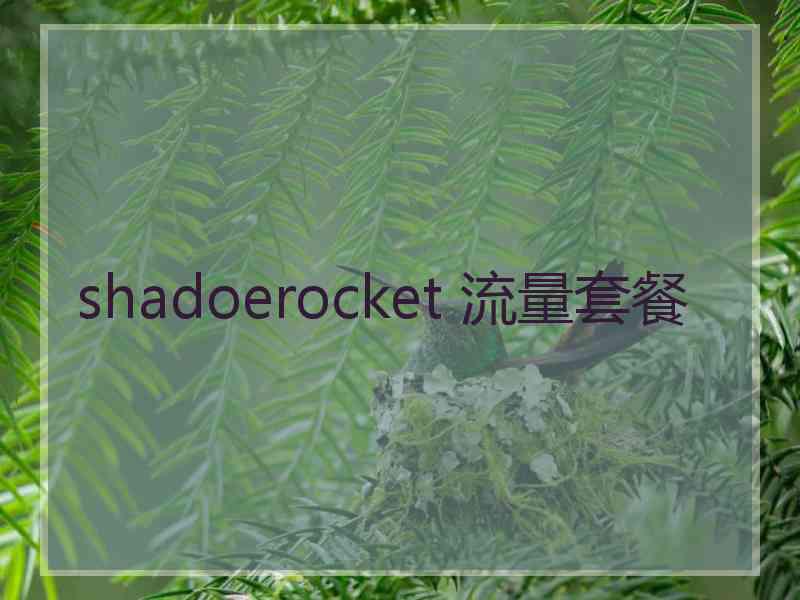 shadoerocket 流量套餐