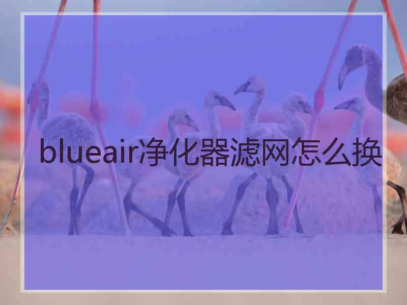 blueair净化器滤网怎么换