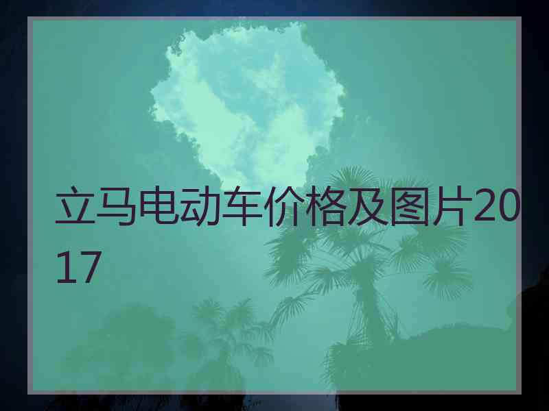 立马电动车价格及图片2017