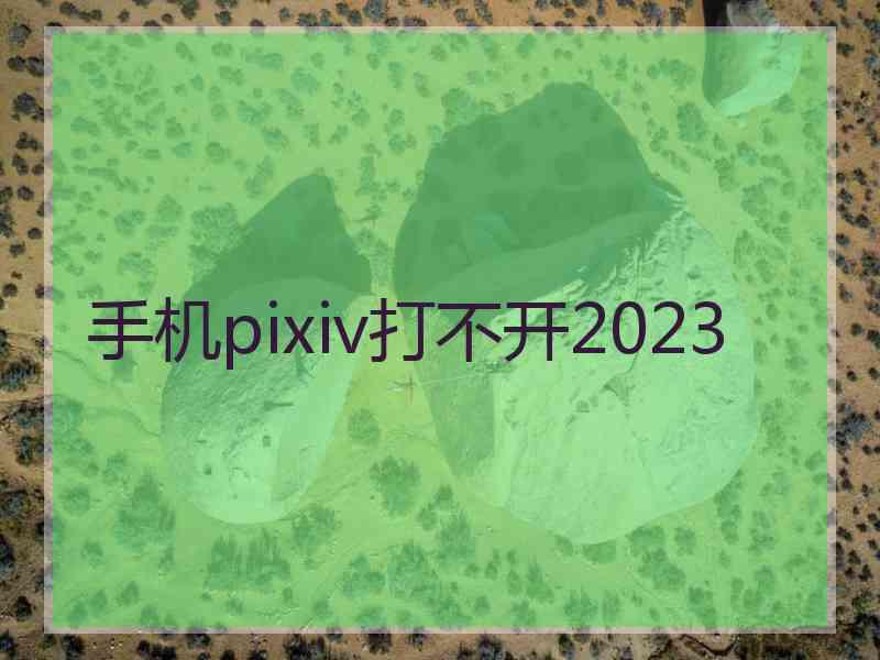 手机pixiv打不开2023