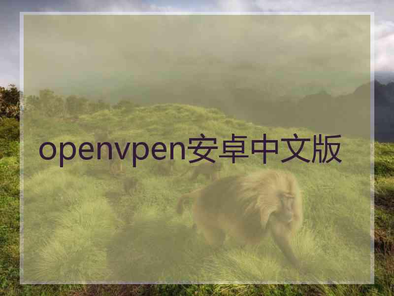 openvpen安卓中文版