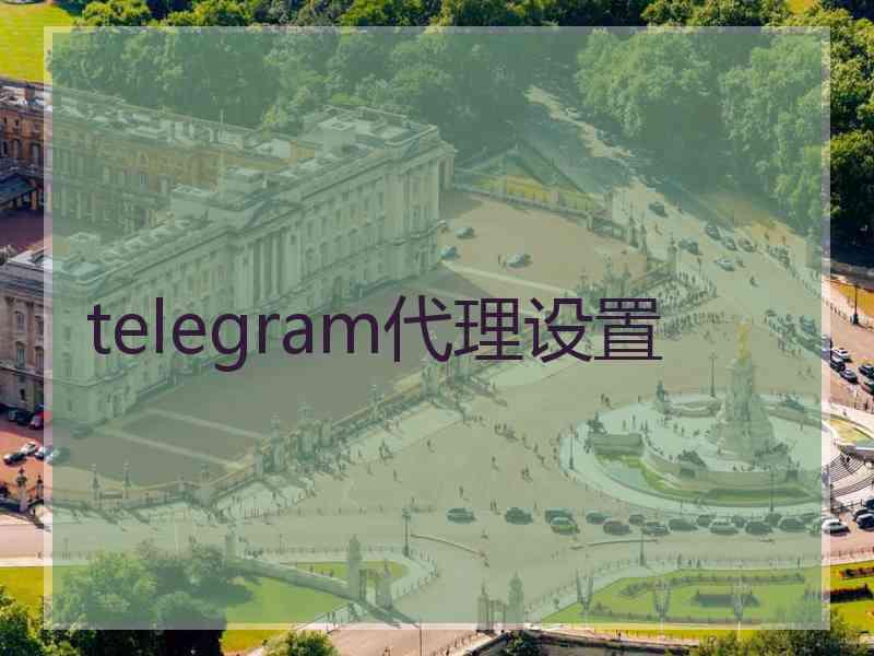 telegram代理设置