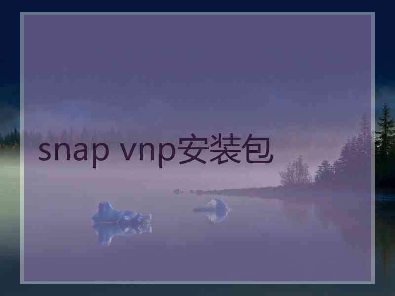 snap vnp安装包