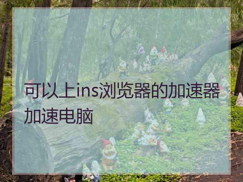 可以上ins浏览器的加速器加速电脑