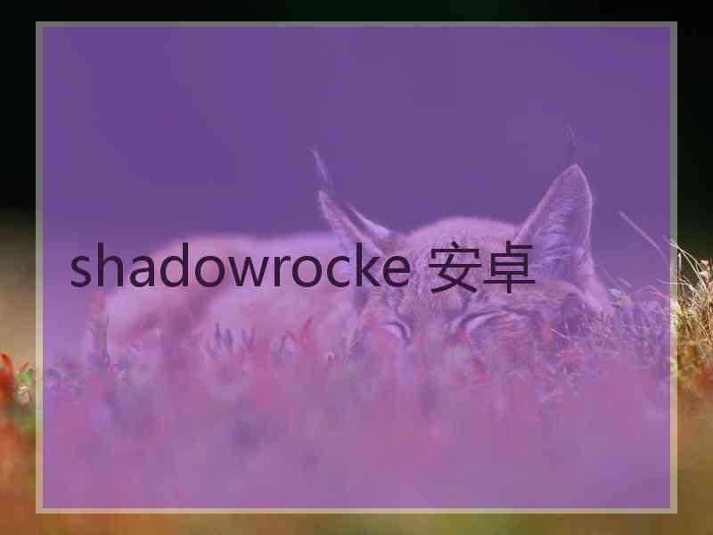 shadowrocke 安卓