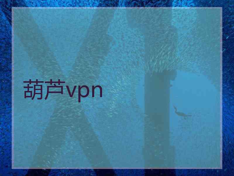 葫芦vpn