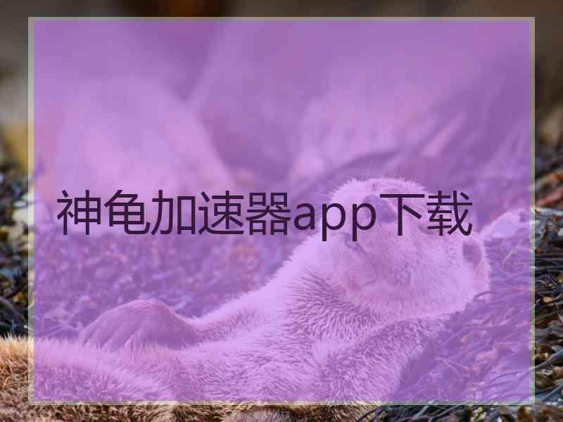 神龟加速器app下载